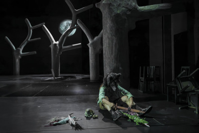 Der Ring des Nibelungen: Siegfried & Götterdämmerung – Cover Image